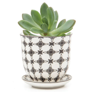 Liberte 3, 3.25" Indoor Plant Pots: Red Birds / 3.25"