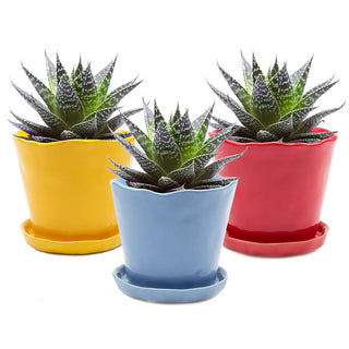 Tika Ceramic Pots and Planters