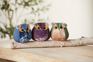 Whimsical velvet owls, charming owl enthusiastic, nature: Teal Owl