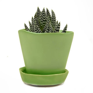 Tika Ceramic Pots and Planters