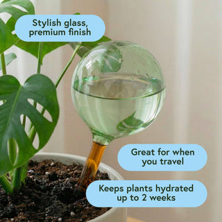 Self-Watering Plant Globes