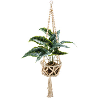 Beaded Plant Hanger