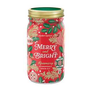 Holiday Herb Garden Jar: Comfort & Joy
