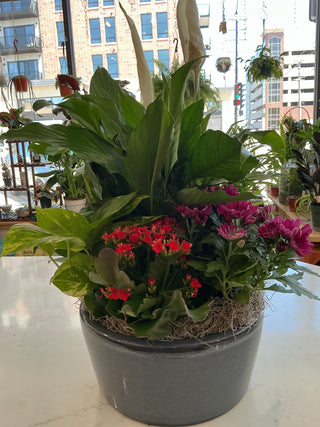 12" European Ceramic Dish Garden