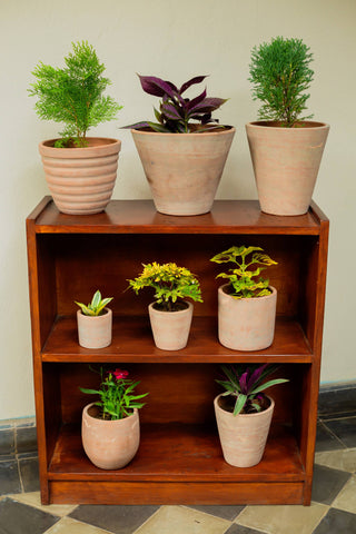 Concrete-washed Terracotta Planter (Large): With drainage plate