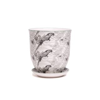 Liberte Indoor Porcelain Plant Pots