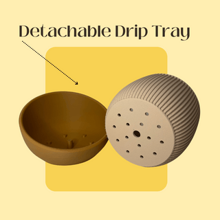 The Eero Planter | Stylish 2-Piece Drip Tray Planter Design for Indoor Potting | 3 Sizes Available | Made in USA: Large