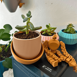 The Eero Planter | Stylish 2-Piece Drip Tray Planter Design for Indoor Potting | 3 Sizes Available | Made in USA: Large