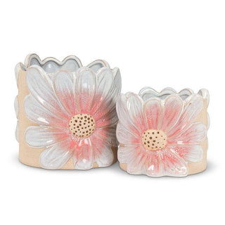 Lg Pink Daisy Planter-6"H