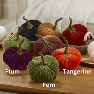 Pumpkin Small Velvet Fall Decor Gift for New Apartment Best: Fall Floral