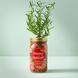 Holiday Herb Garden Jar: Comfort & Joy