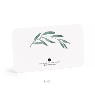 Olive Branches Little Notes® NEW 55 Count