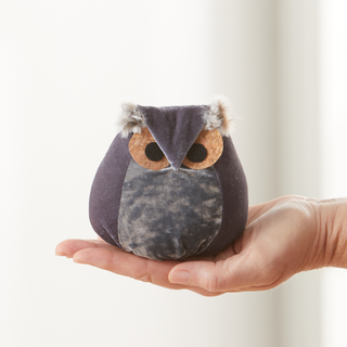 Whimsical velvet owls, charming owl enthusiastic, nature: Teal Owl