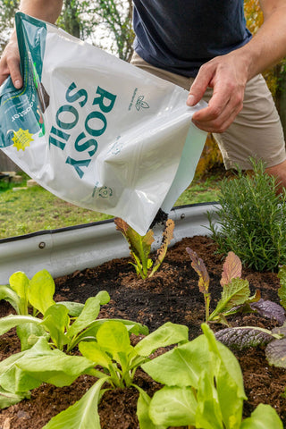 8qt Organic Biochar Booster