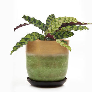 Joe Metal Flower Pots And Planters With Drainage Hole Saucer: White & Copper / 5"