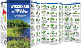 Wisconsin Trees & Wildflowers by James Kavanagh: Pamphlets; 12 pages / English