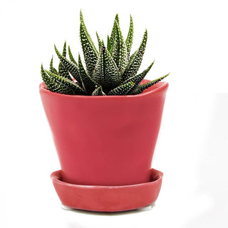 Tika Ceramic Pots and Planters