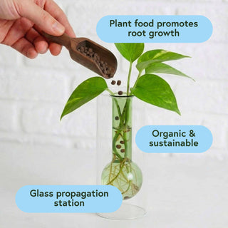 Propagation Kit