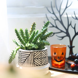 2.5" Jack-o'-lantern Halloween Pot - Halloween Decor Indoor