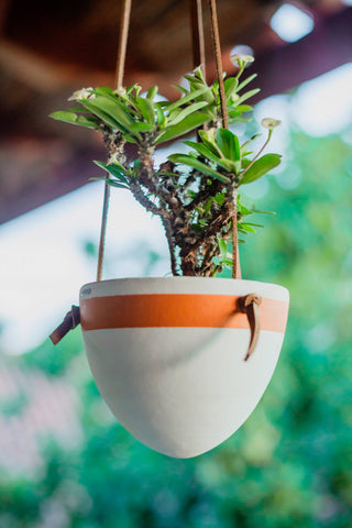 Small Hanging Planter with Leather Hanger: Black/Terracotta