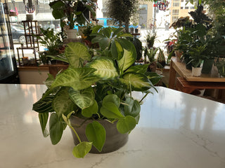 8” Metal Planter