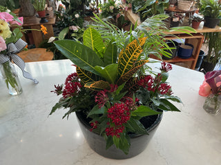 12’ Ceramic Dish Garden