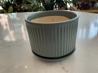5.5” Olive Ceramic Pot