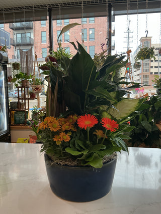 12" European Ceramic Dish Garden