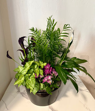 12" European Ceramic Dish Garden