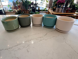 5" Ceramic Pot w/Saucer - various styles