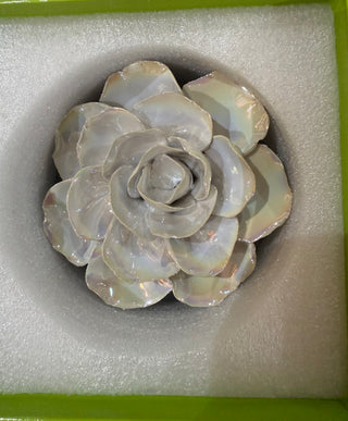 Chive Ceramic Flower Pearl Ranunculus