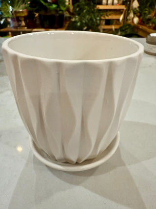 Chive 3.5" Virago Pot