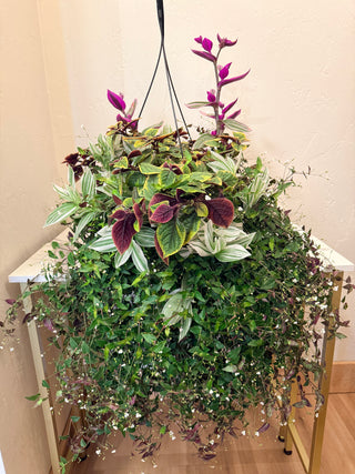 12" Deluxe Hanging Basket