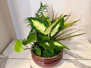 8" Ceramic Dish Garden