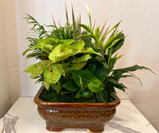 Rectangular Ceramic Dish Garden