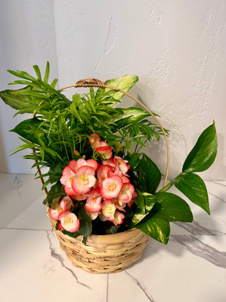 Blooming Basket Garden