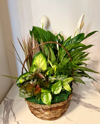 12" Wicker Basket Dish Garden