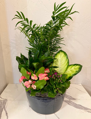 12" European Ceramic Dish Garden