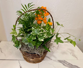 Blooming Basket Garden