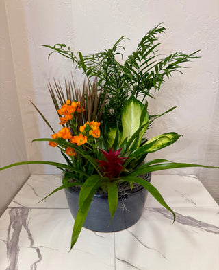 12" European Ceramic Dish Garden