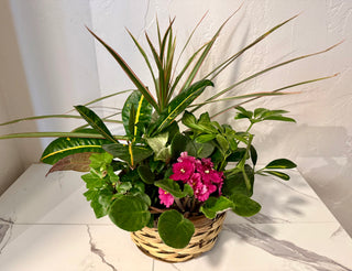 Blooming Basket Garden