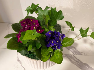 African Violet Ceramic Garden