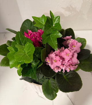 African Violet Ceramic Garden