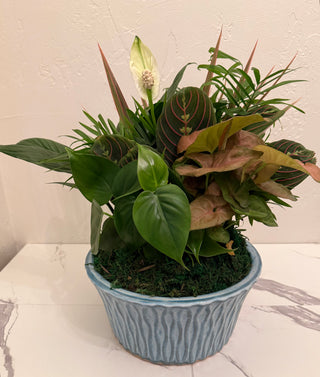 10" Ceramic Dish Garden
