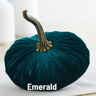 Pumpkin Small Velvet Fall Decor Gift for New Apartment Best: Ivory