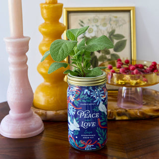 Holiday Herb Garden Jar: Comfort & Joy
