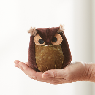 Whimsical velvet owls, charming owl enthusiastic, nature: Teal Owl