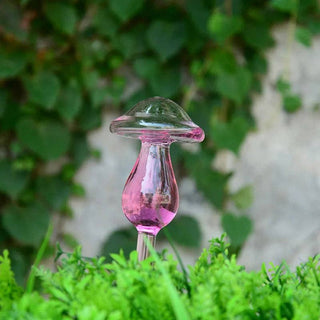 Self-Watering Plant Decor