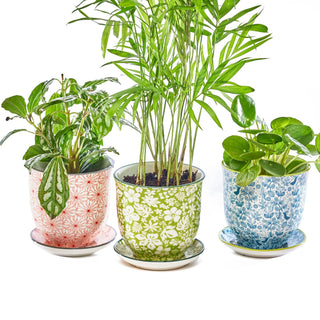 Liberte 3, 3.25" Indoor Plant Pots: Red Birds / 3.25"