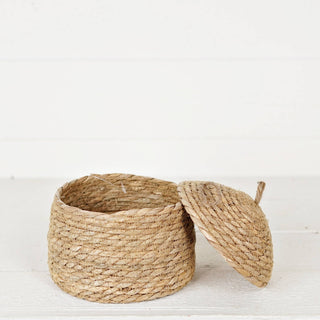 570380- Silo Shape Basket of Cattail Leaves with Lid-7Hx7.5D